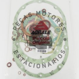 Jogo de Junta Agrale M795W Original